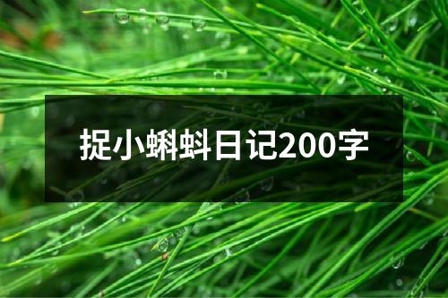 捉小蝌蚪日记200字