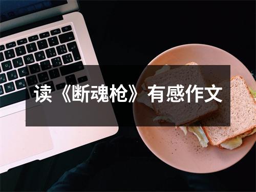 读《断魂枪》有感作文