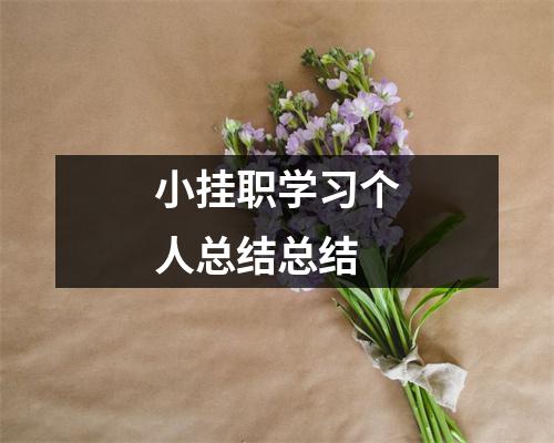 小挂职学习个人总结总结