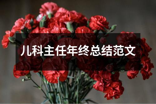 儿科主任年终总结范文