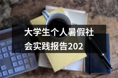 大学生个人暑假社会实践报告202