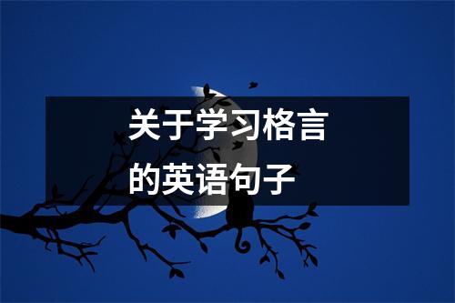 关于学习格言的英语句子