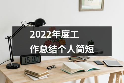 2022年度工作总结个人简短