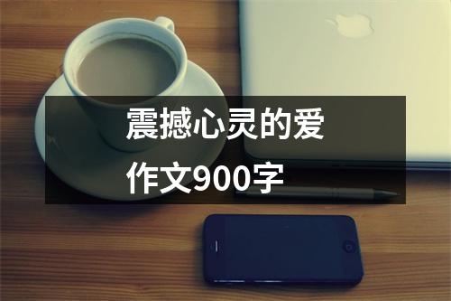 震撼心灵的爱作文900字