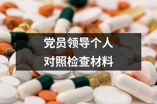 党员领导个人对照检查材料