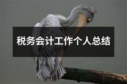 税务会计工作个人总结