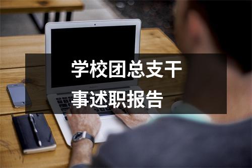 学校团总支干事述职报告