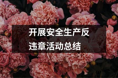 开展安全生产反违章活动总结