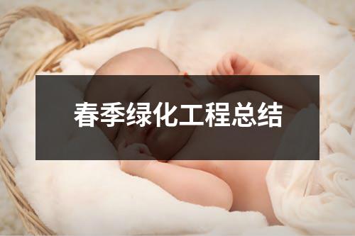 春季绿化工程总结