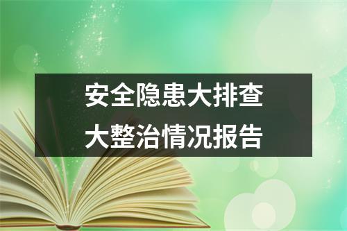 安全隐患大排查大整治情况报告