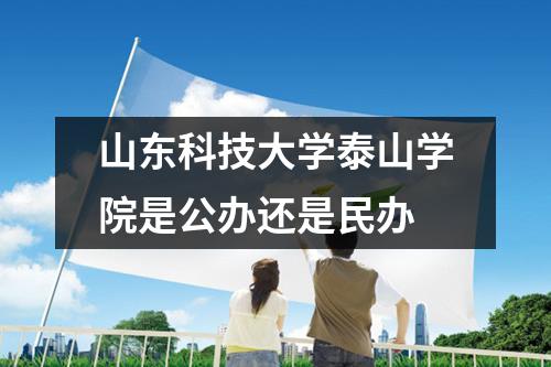 山东科技大学泰山学院是公办还是民办