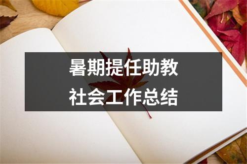 暑期提任助教社会工作总结