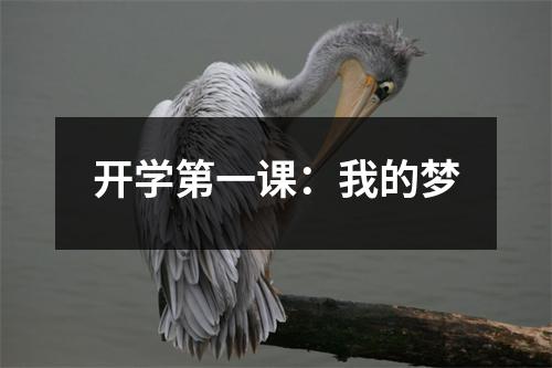 开学第一课：我的梦