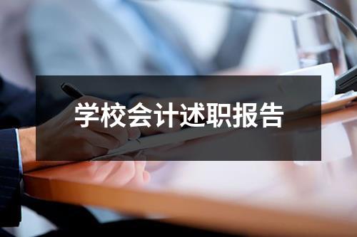 学校会计述职报告