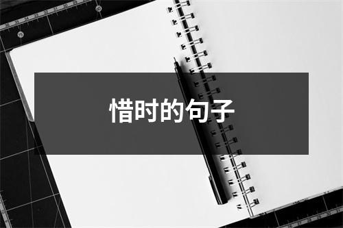 惜时的句子