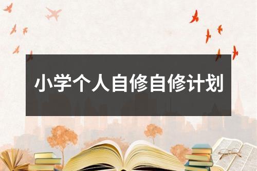 小学个人自修自修计划