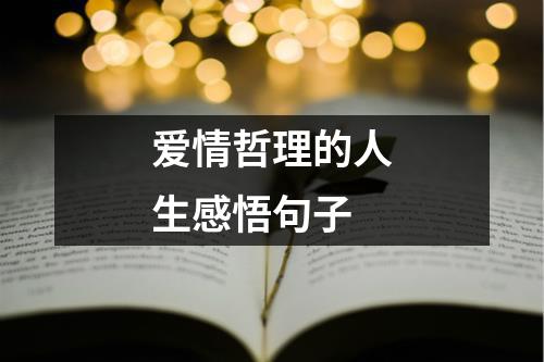 爱情哲理的人生感悟句子