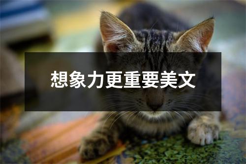 想象力更重要美文