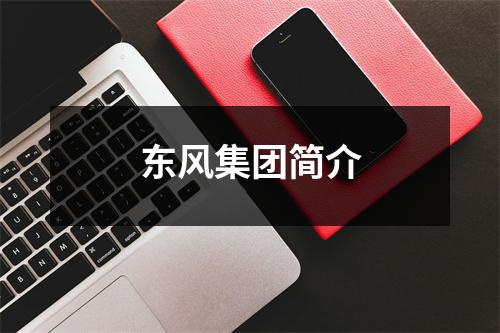 东风集团简介