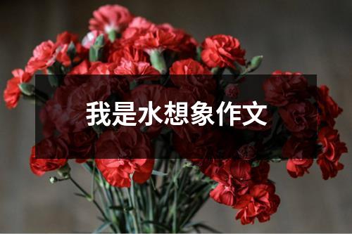 我是水想象作文