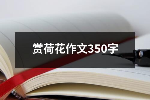 赏荷花作文350字