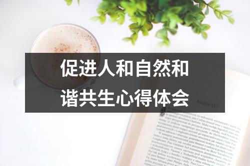 促进人和自然和谐共生心得体会