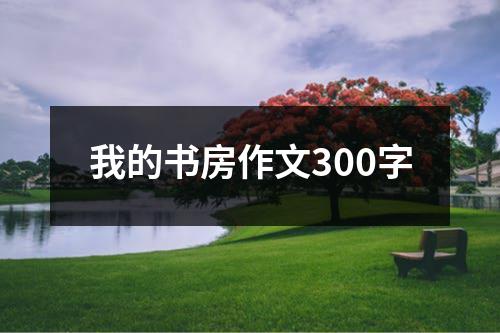 我的书房作文300字