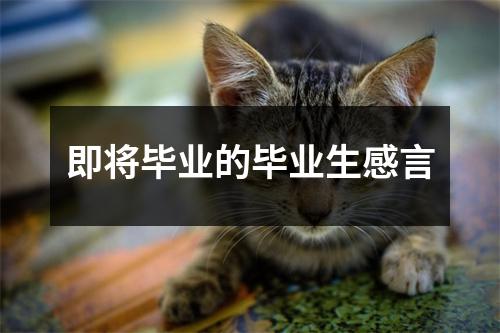 即将毕业的毕业生感言