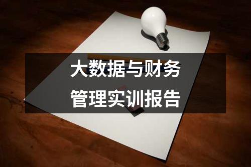 大数据与财务管理实训报告