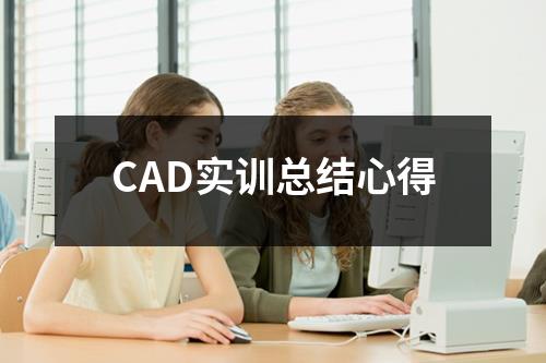 CAD实训总结心得