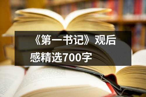 《第一书记》观后感精选700字