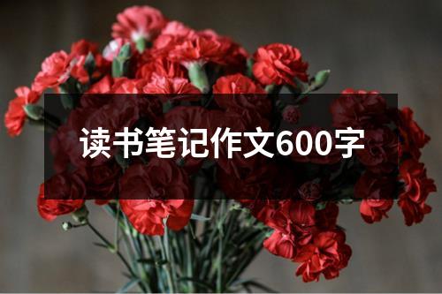 读书笔记作文600字