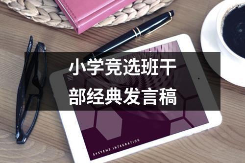 小学竞选班干部经典发言稿