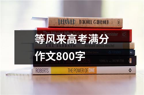 等风来高考满分作文800字