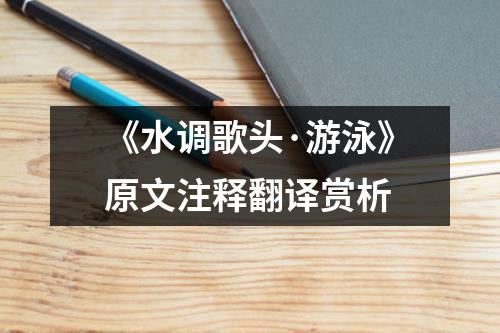 《水调歌头·游泳》原文注释翻译赏析