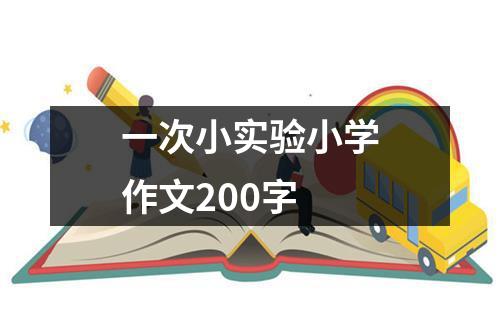 一次小实验小学作文200字