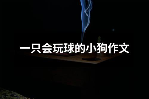 一只会玩球的小狗作文