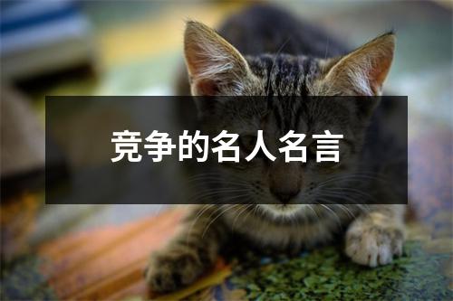 竞争的名人名言