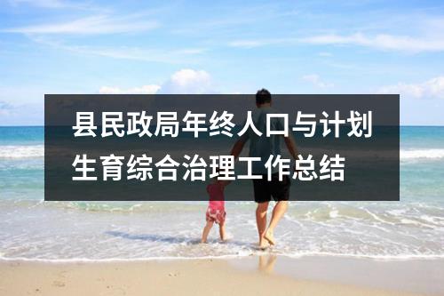 县民政局年终人口与计划生育综合治理工作总结