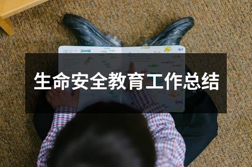 生命安全教育工作总结