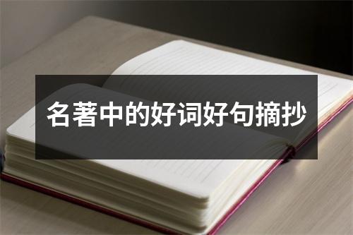 名著中的好词好句摘抄