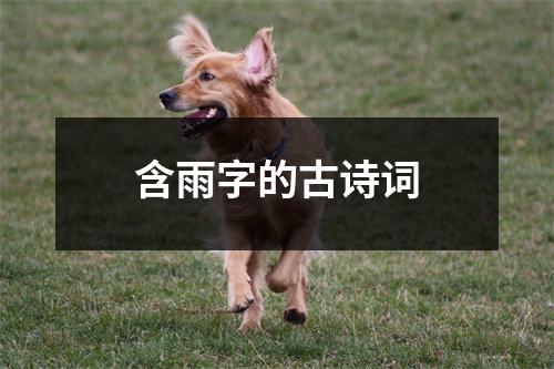 含雨字的古诗词