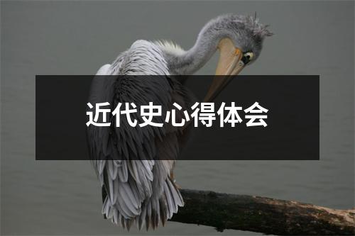 近代史心得体会