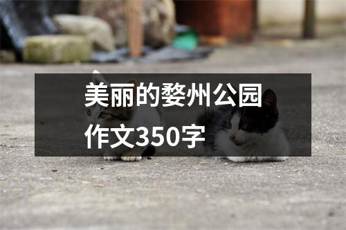 美丽的婺州公园作文350字