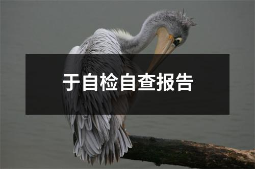 于自检自查报告