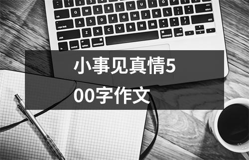 小事见真情500字作文