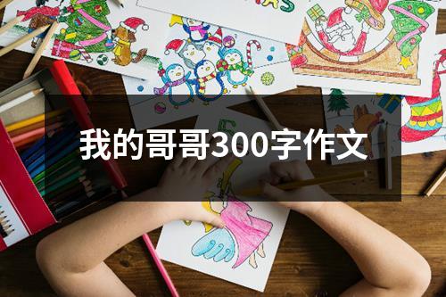 我的哥哥300字作文