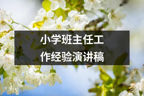 小学班主任工作经验演讲稿