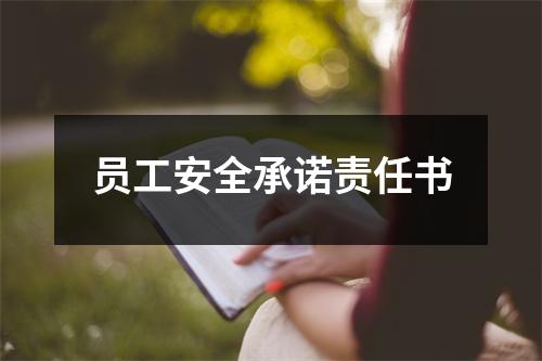 员工安全承诺责任书