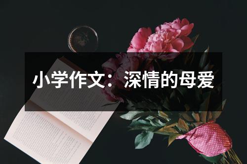 小学作文：深情的母爱